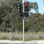 Panel słoneczny czerwony zielony automatyczny słup sygnalizacji świetlnej Q345 do przejścia dla pieszych