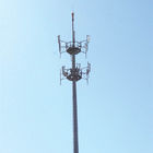 Profesjonalne wieże telekomunikacyjne, ukryta wieża z drzewa sosnowego